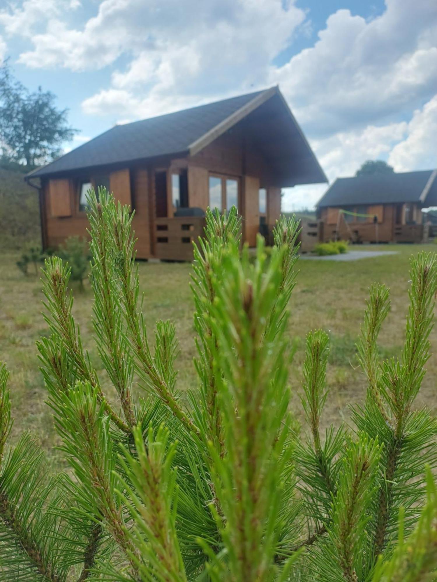 Kaszubskie Laki Domek Nr 4 Lakie Buitenkant foto